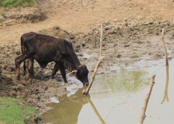Sequía y Escasez de Agua Crisis que se Avizora en Bacalar