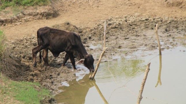 Sequía y Escasez de Agua Crisis que se Avizora en Bacalar