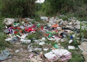 Una docena de basureros clandestinos en zona conurbana de Chetumal