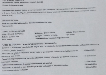 Acusan a ex directora del DIF-OPB de suplantar identidad