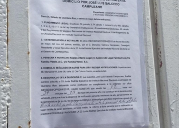 ¡Ya para que! INE suspende entrega de despensas de los verdes ahora que agoniza la campaña