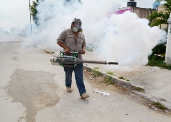 Reactiva SESA protocolo para prevenir paludismo y dengue