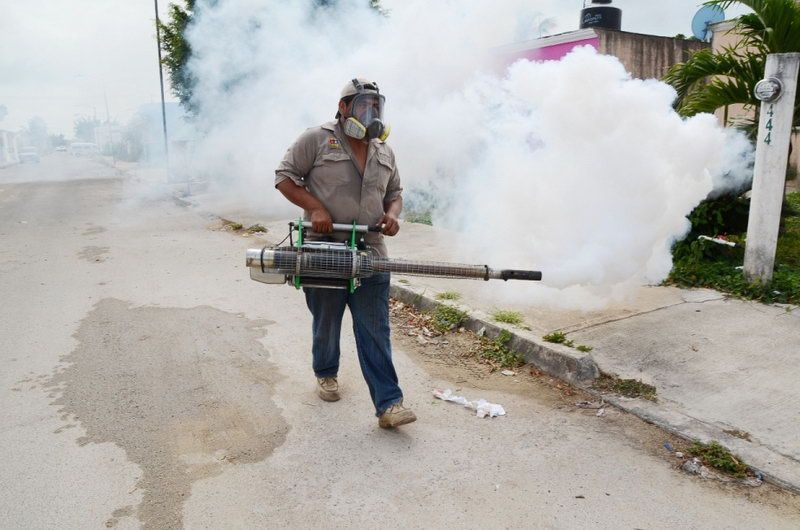 Reactiva SESA protocolo para prevenir paludismo y dengue