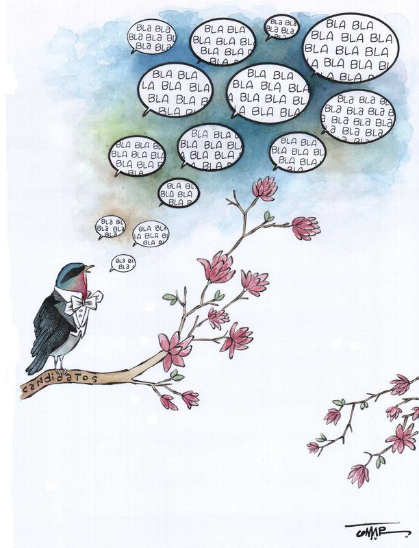 OMAR: El eco de las campañas #caricatura
