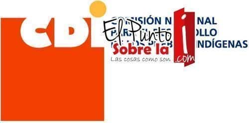 Acusan de negligentes a la CDI de zona maya