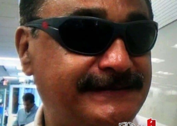 Quintana Roo tiene el VoBo para explotar y producir maderas duras y preciosas