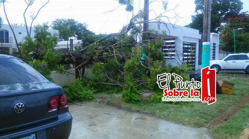 Tremendo susto se llevaron vecinos de la Colonia Caminera