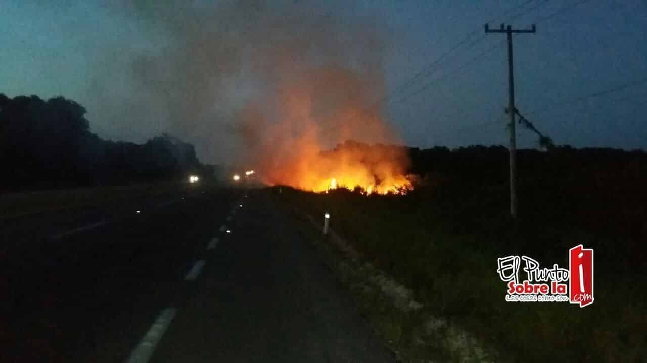 Bajo control voraz incendio entre el tramo Xul-Ha y Bacalar