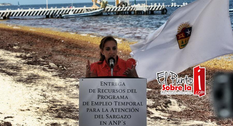 Gobierno federal destina 12 millones para retirar sargazo en playas de Q. Roo