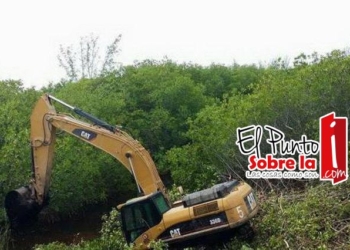 Cancunenses se oponen a la devastación del manglar en “Tajamar”