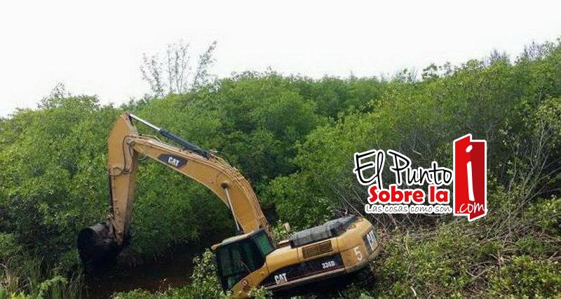 Cancunenses se oponen a la devastación del manglar en “Tajamar”