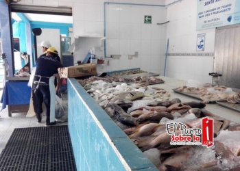 Distribuidoras de mariscos fijan esperanzas en vacaciones de verano