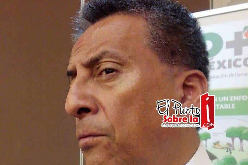 Disminuye tasa de deforestación en México
