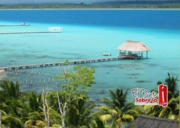 Guillotina a quienes atenten contra el medio ambiente y la Laguna de Bacalar