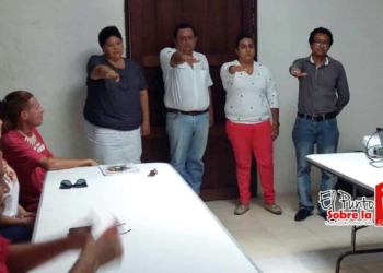 Sesiona el Concejo Ciudadano para la protección de los animales en Bacalar