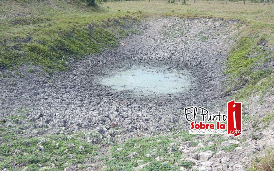 “Canícula” seca Jagüeyes de Ganaderos en Bacalar