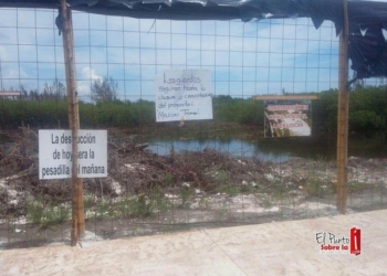 “Cinturón humano” pretenden hacer cancunenses para evitar construcción en Tajamar