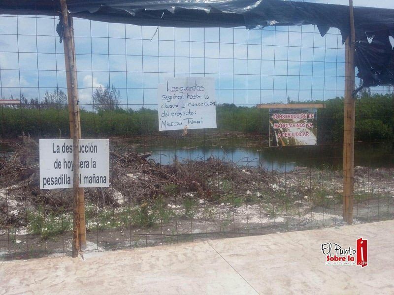 “Cinturón humano” pretenden hacer cancunenses para evitar construcción en Tajamar