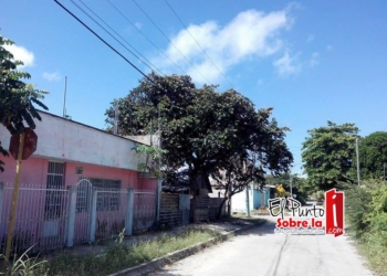Árboles de la colonia Nueva Reforma amenazan con dejar sin luz a los vecinos