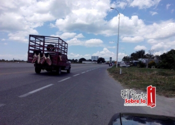 Transportan carne sin medidas de higiene en Bacalar