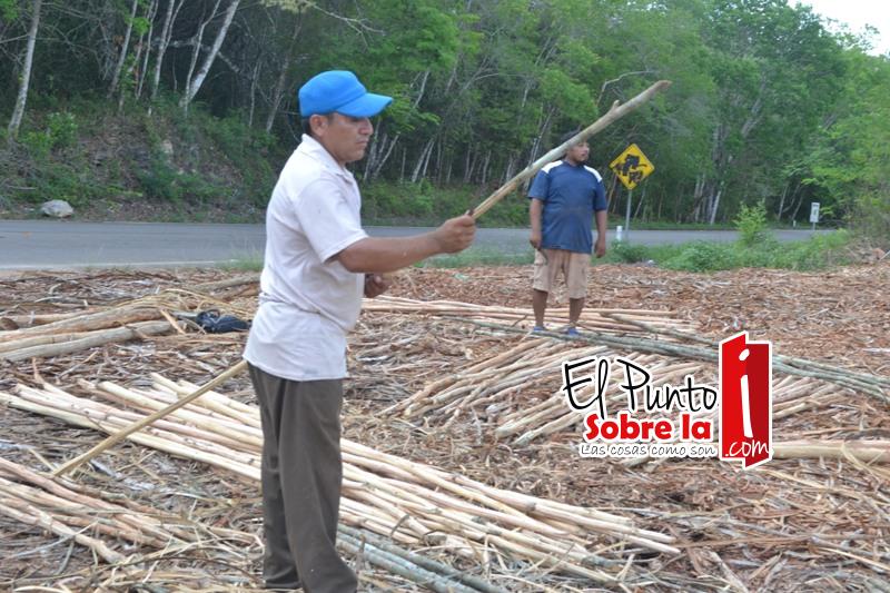 Laguna Kaná cumple castigo y anticipa que aprovechará sus recursos forestales para promover el ecoturismo