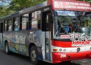 Más que “patito” la Ley sobre descuento en transporte propuesta por Maribel Villegas
