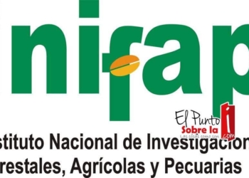En deuda el INIFAP en Quintana Roo