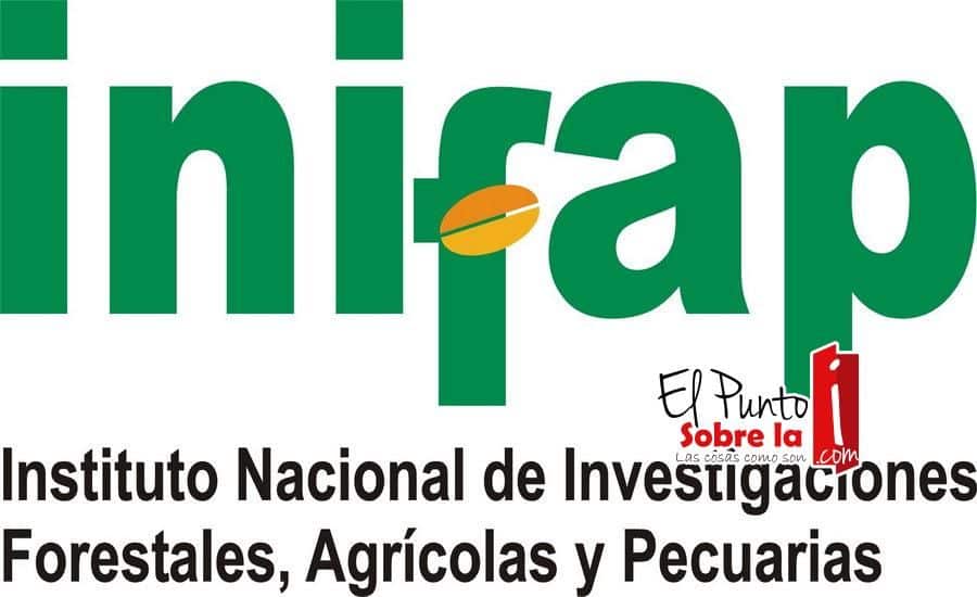 En deuda el INIFAP en Quintana Roo