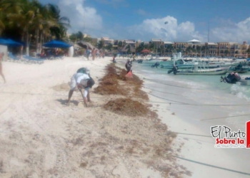 Mauricio Góngora trabaja por la conservación de las playas