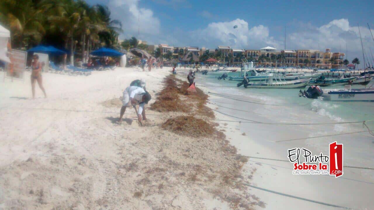 Mauricio Góngora trabaja por la conservación de las playas