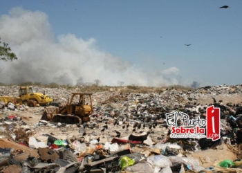 OPB tiene una buena para poner fin a la recolecta de basura