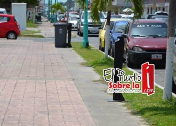 SOS en ayuntamiento de OPB por robo en parques 