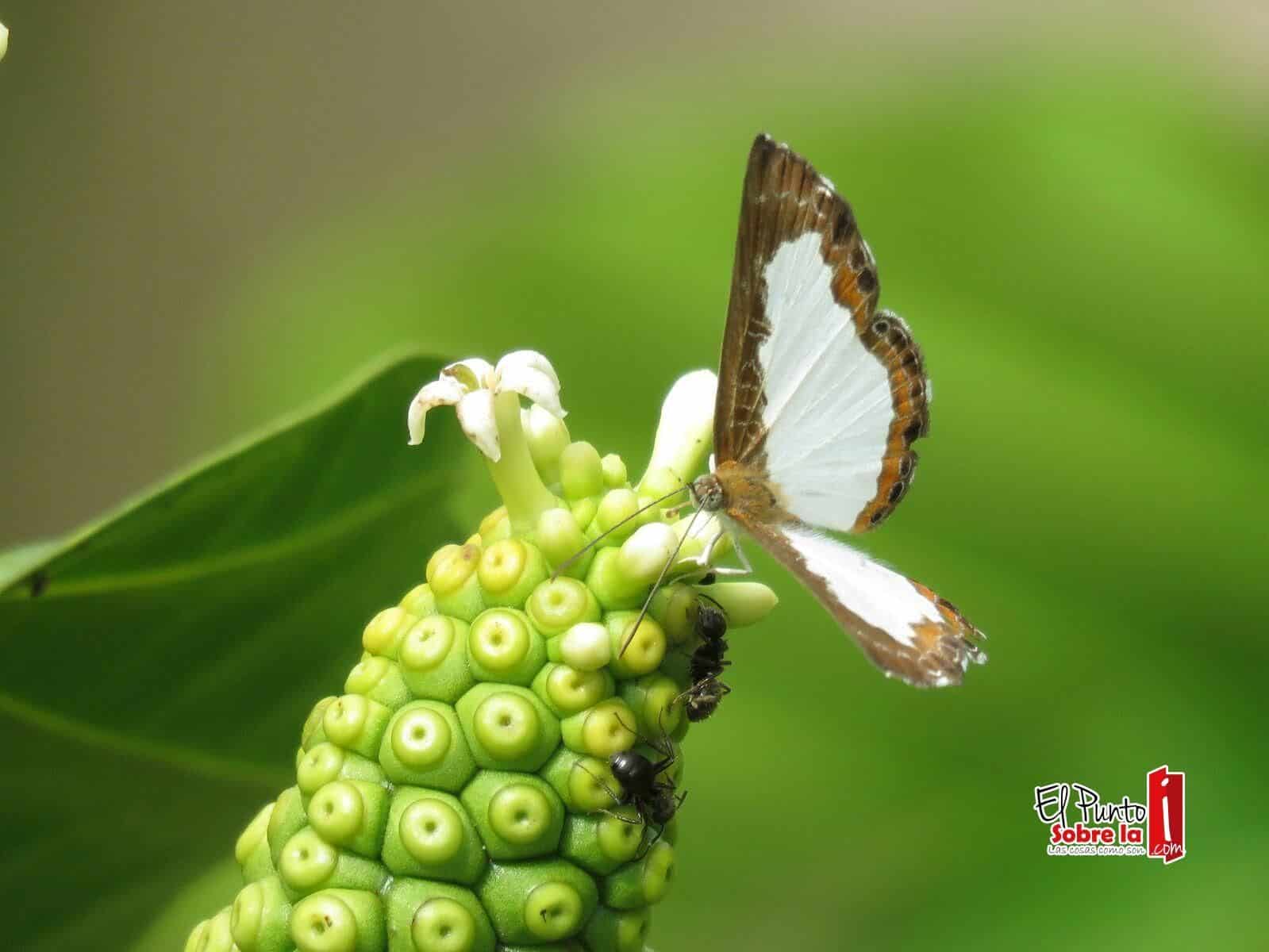 Mediante exposición fotográfica se incentivará a cuidar los recursos naturales