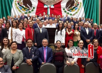 Apoya diputada federal por Quintan Roo recortes en gastos de la bancada Tricolor
