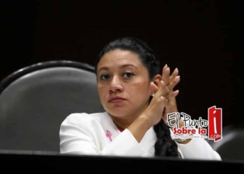 Urge La Creación De Una Comisión Que Evalúe El Uso De Recursos Públicos En Procesos Electorales: Ivanova Pool