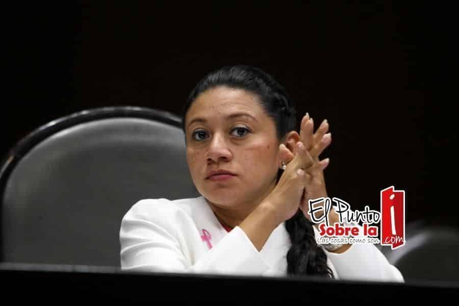 Urge La Creación De Una Comisión Que Evalúe El Uso De Recursos Públicos En Procesos Electorales: Ivanova Pool