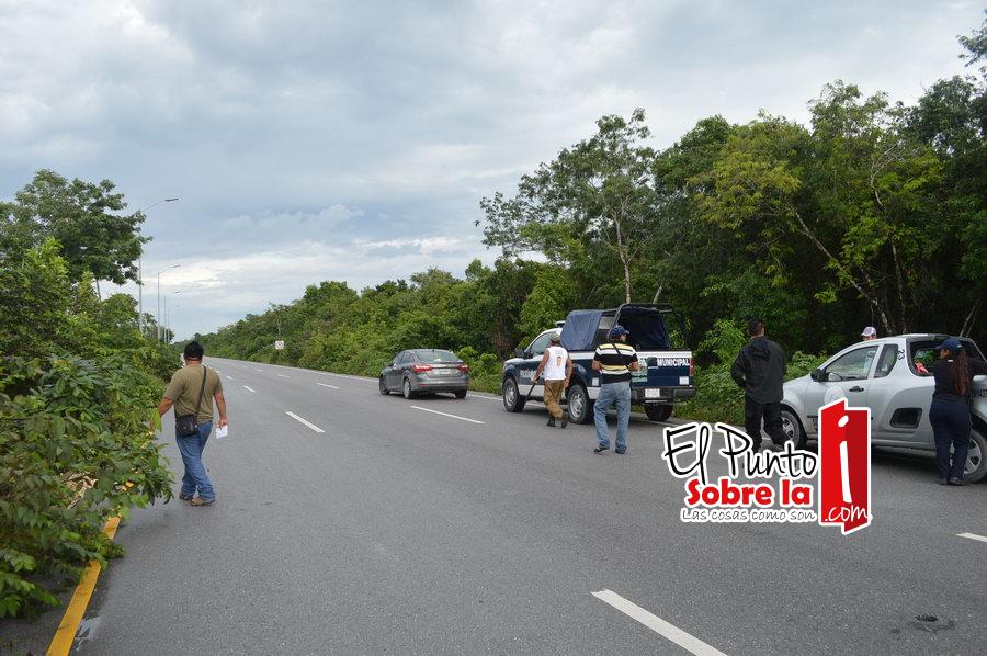 Otra osamenta es hallada en Cancún