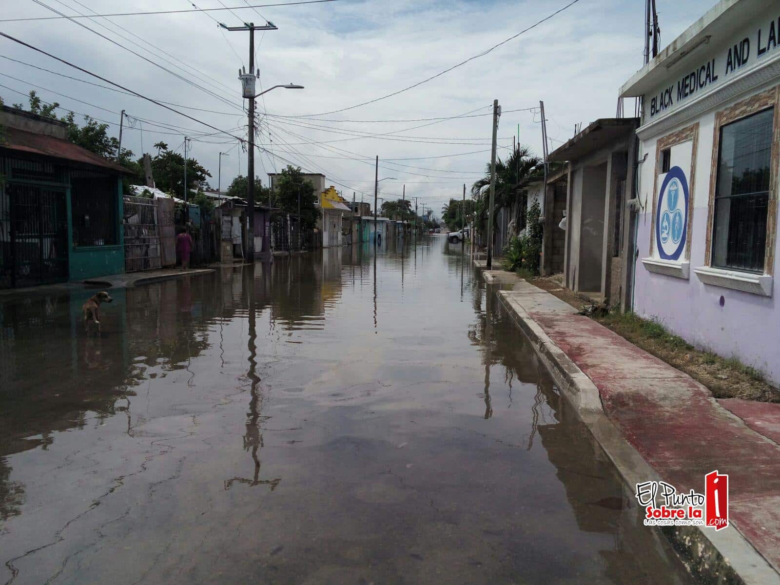 Familias esperan ayuda en la calle Chablé