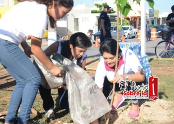 Cumple Reforestado Solidaridad 2 años de mejorar el medio ambiente