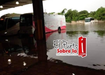 Rutas de ADO operan con normalidad en Chetumal