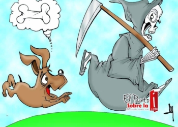 LUY: Emergencia en Día de Muertos #caricatura