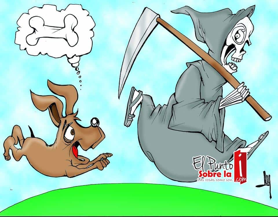 LUY: Emergencia en Día de Muertos #caricatura