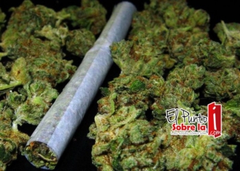 Bueno o malo permitir el consumo de la marihuana?
