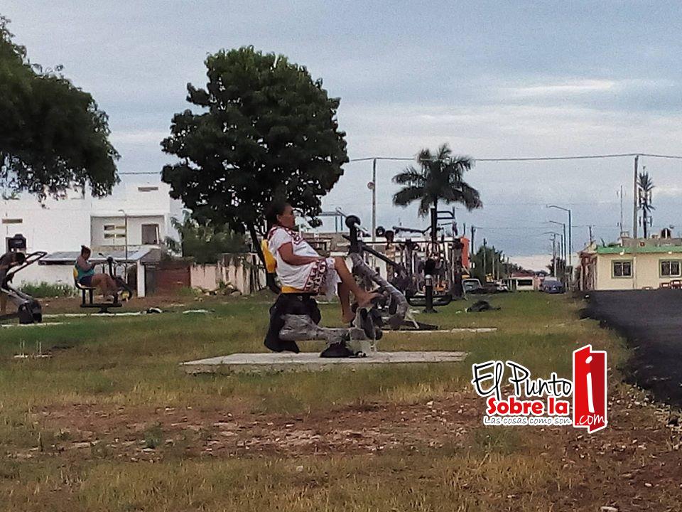Matando la grasa de la cochinita