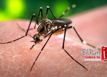 Presume SESA que no hay Zika en Quintana Roo