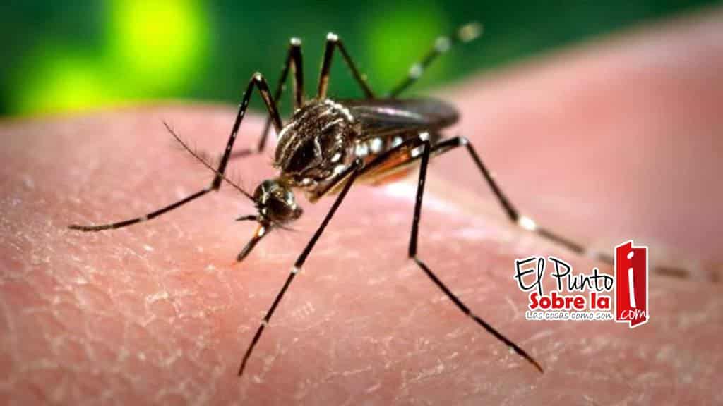 Presume SESA que no hay Zika en Quintana Roo