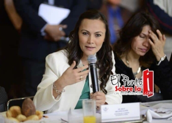Analizan diputados reforma sobre expedientes clínicos: Arlet
