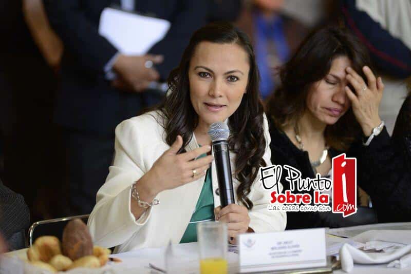 Analizan diputados reforma sobre expedientes clínicos: Arlet