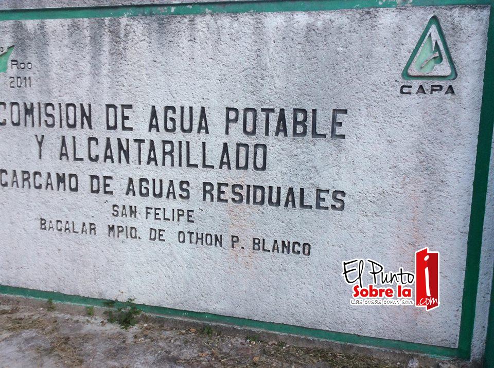 La contaminación amenaza el ecosistema de la Laguna de Bacalar