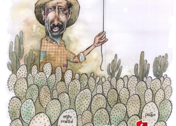 OMAR: Panorama mexicano #caricatura